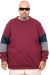 Plus Size Mens Sweatshirt u25817 DAMSON