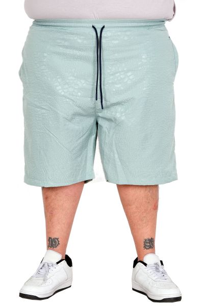 Big Size Mens Swimming Short 26500 GREEN