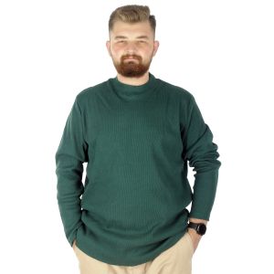 Nefti