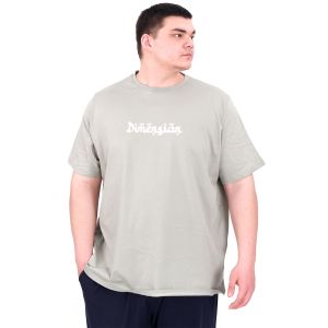 Büyük Beden Erkek T-Shirt Bisiklet Yaka DIMENSION U25025 Çağla