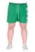 Big Size Mens Short Green U25402
