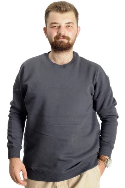 Büyük Beden Erkek Sweatshirt  Basic 20131 Füme