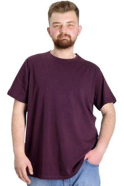 Big-Tall Men Round Collar T-Shirt with Lycra 20149 Plum