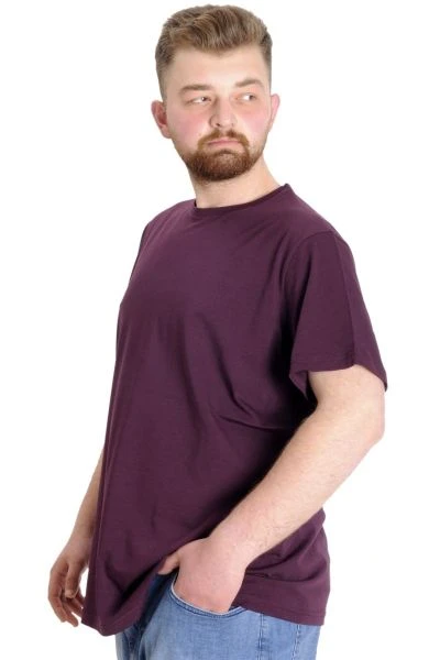 Big-Tall Men Round Collar T-Shirt with Lycra 20149 Plum