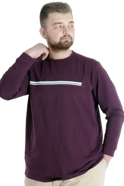 Big Tall Men's T-shirt Long Sleeve Chngyrmd 22100 Damson