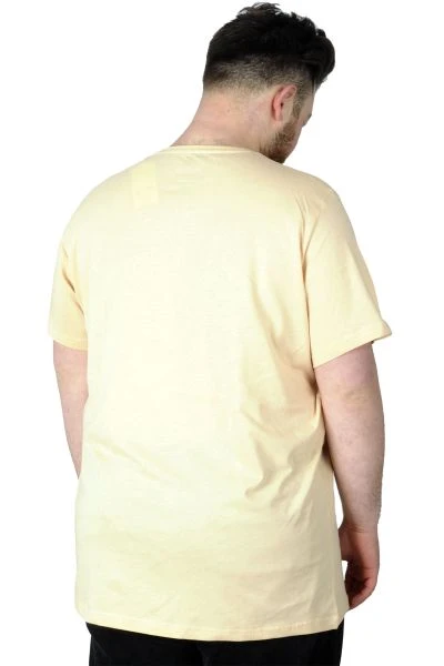 Büyük Beden T-Shirt Baskılı Renovate 22157 Bej