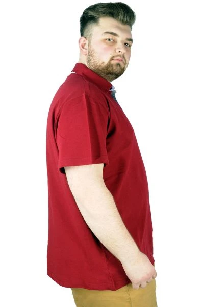 Men s T shirt Polo Collar Florida 22303 Maroon