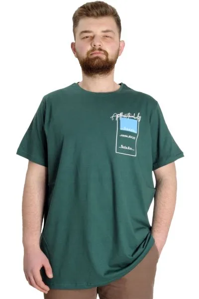 Büyük Beden Erkek T-shirt ESTABLISMENT 23139 Nefti