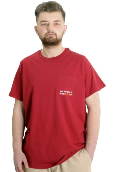 Büyük Beden Erkek T-shirt FUTURE 23200 Bordo