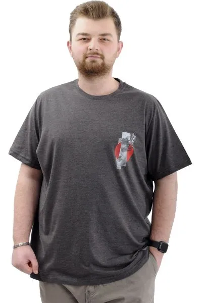 Big Size Mens T-shirt Crew Neck LEAF U24069 AntraMelange