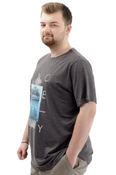 Big Size Mens T-shirt Crew Neck ANOTHER DAY U24070 AntraMelange