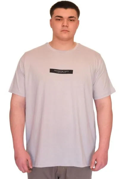 Büyük Beden Erkek T-Shirt Bisiklet Yaka FACTS Baskılı U25012 Gri