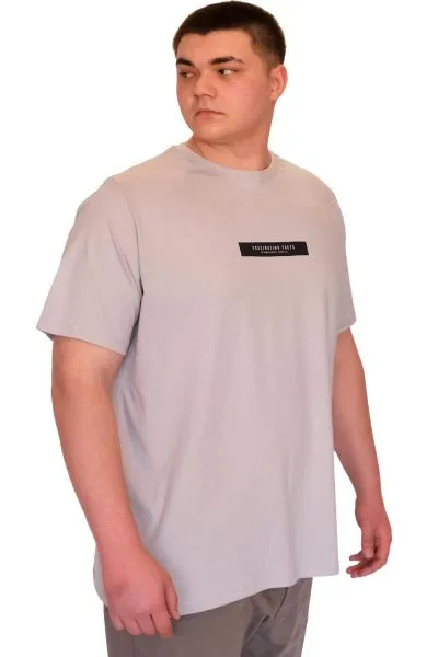 Büyük Beden Erkek T-Shirt Bisiklet Yaka FACTS Baskılı U25012 Gri