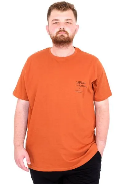 Büyük Beden Erkek T-Shirt Bisiklet Yaka Space U25018 Tarçın