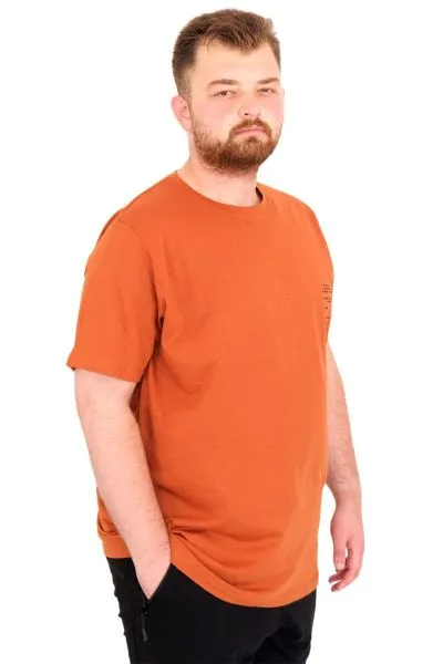 Büyük Beden Erkek T-Shirt Bisiklet Yaka Space U25018 Tarçın