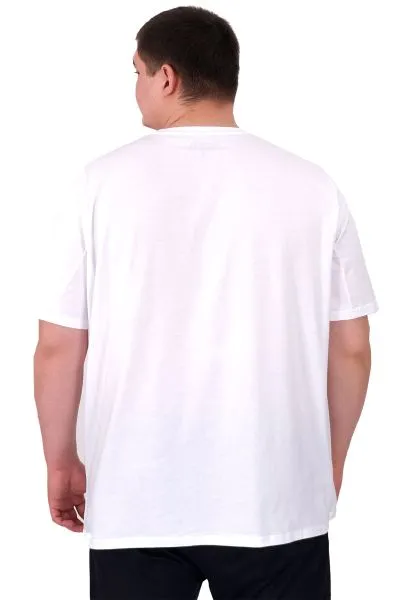 Büyük Beden Erkek Baskılı T-Shirt Palm Dream U25026 Beyaz
