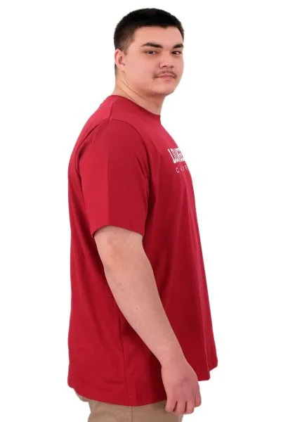 Büyük Beden Erkek Baskılı T-Shirt Los Angeles U25031 Bordo