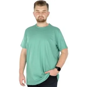 Büyük Beden Erkek Tshirt Bisiklet Yaka Basic 20031 Çağla Yeşili