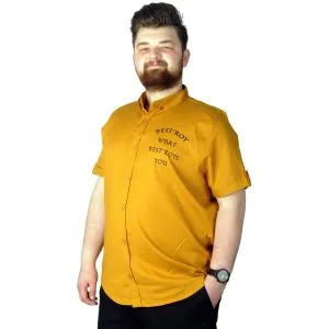 Big-Tall Mens Classic Gabardinee Shirt 20360 Water Green