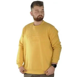 Men Sweatshirt  Bicycle Collar Basic 20131 Anthramelange (Gray) Color