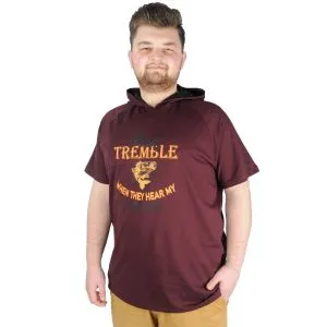 Big-Tall Men Hooded T-Shirt Act Now 22128 Maroon