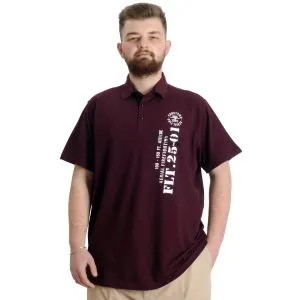 Big Size Mens T-Shirt Polo FLT 23329 Plum