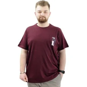 Erkek Büyük Beden T-Shirt Pamuklu Baskılı Bisiklet Yaka Tişört LIMITED U24052 Mürdüm