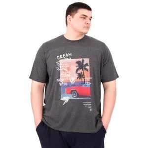 Büyük Beden Erkek Baskılı T-Shirt Palm Dream U25026 Antrasit
