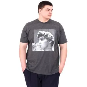 Büyük Beden Erkek T-Shirt Bisiklet Yaka STATUE U25027 Antrasit
