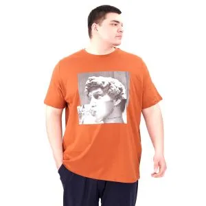 Büyük Beden Erkek T-Shirt Bisiklet Yaka STATUE U25027 Tarçın