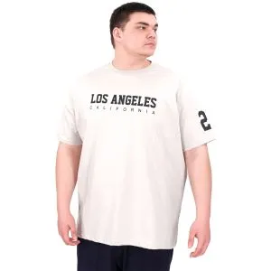 Büyük Beden Erkek Baskılı T-Shirt Los Angeles U25031 Gri