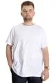 Big Size Mens T-Shirt FLAM Collar Basic 20035 White