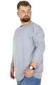 Büyük Beden Erkek Tshirt Likralı Bisiklet Yaka 20102 Grimelanj  GRI