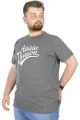 Büyük Beden T-Shirt Bis Yaka Division 22194 Antramelanj ANTRASIT