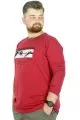 Büyük Beden T-Shirt Bisiklet Yaka Renaissance 22202 Bordo BORDO