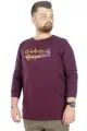 Büyük Beden T-Shirt Bisiklet Yaka Strawberry 22203 Mürdüm MURDUM