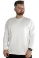 Erkek Sweat Bisiklet Yaka Established 22525 Ekru GRI