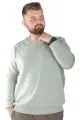 Erkek Sweatshirt Bisiklet Yaka Vintage 22543 Su Yeşili YESIL