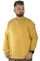 Erkek Sweatshirt Bisiklet Yaka Reach High 22544 Hardal