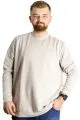Big Size Mens Crew Neck Basic Sweat 22557 Beige