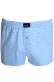 Büyük Beden Erkek Boxer Desenli Poplin 6348 Buz Mavi [product_color]