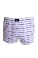 Büyük Beden Erkek Boxer Desenli Poplin 6348 Mor [product_color]